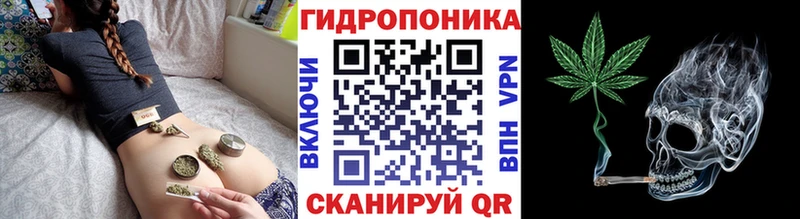 закладка Новопавловск Конопля Bruce Banner